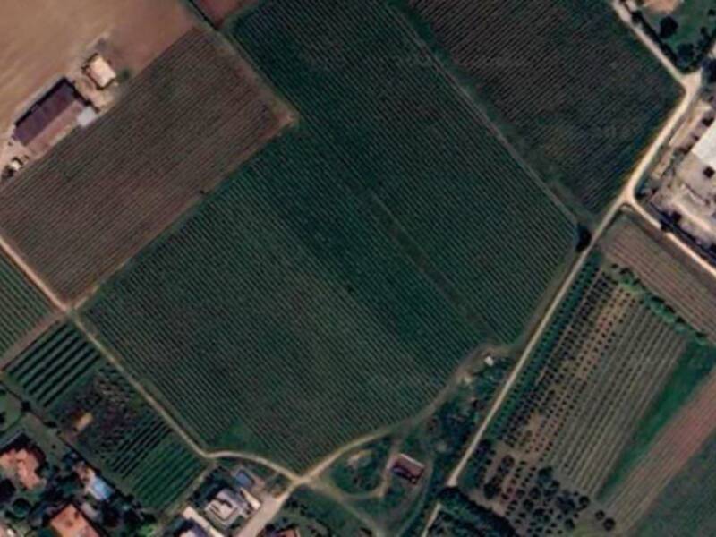 terreno agricolo in vendita a Pescantina