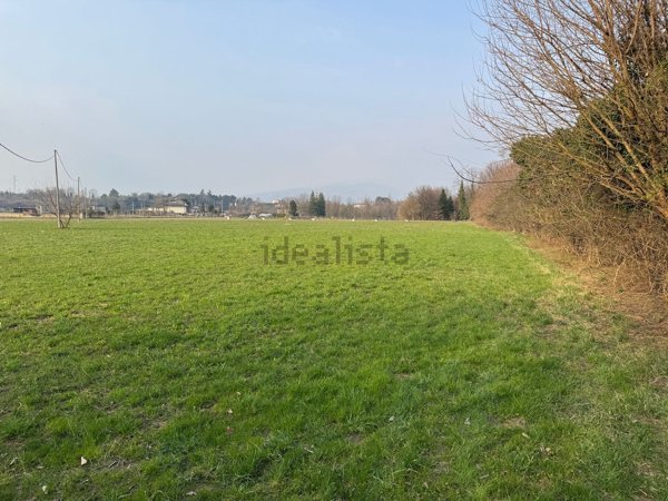 terreno agricolo in vendita a Pescantina in zona Arcè
