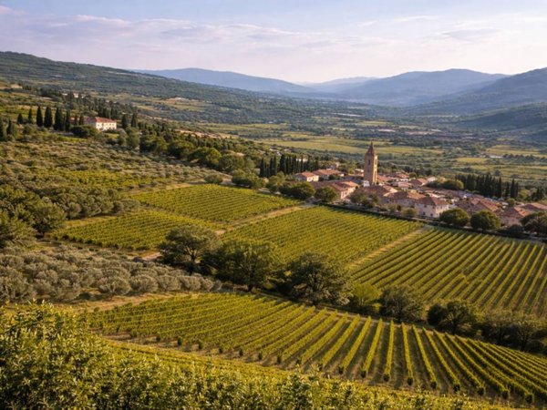 casa indipendente in vendita a Pescantina