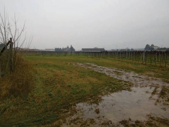 ufficio in vendita a Pescantina