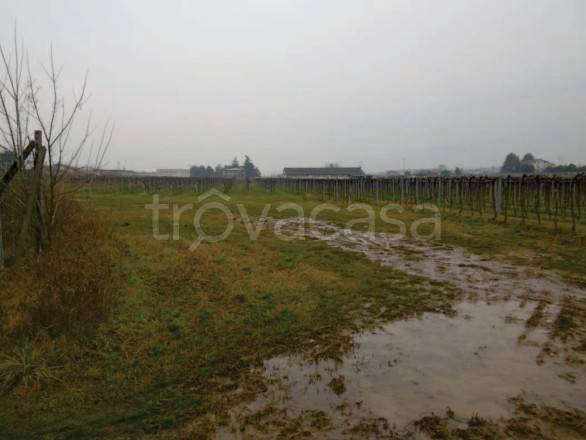 ufficio in vendita a Pescantina