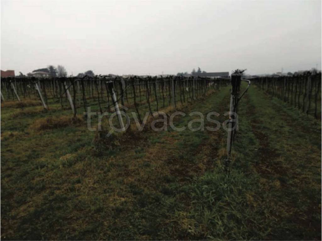 appartamento in vendita a Pescantina