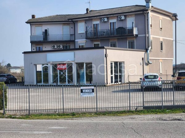negozio in vendita a Pescantina