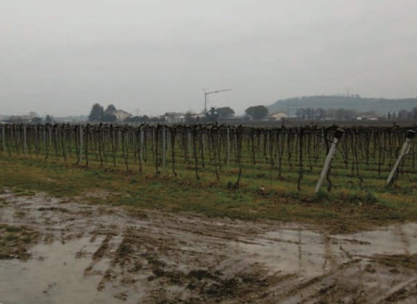 terreno agricolo in vendita a Pescantina