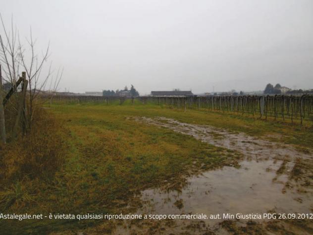 terreno agricolo in vendita a Pescantina