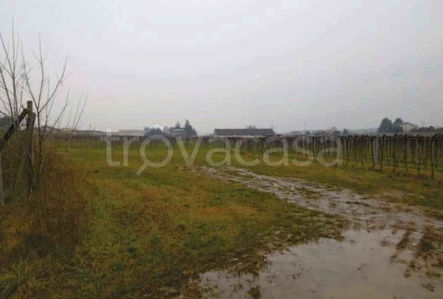 appartamento in vendita a Pescantina