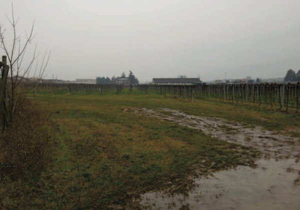 terreno agricolo in vendita a Pescantina