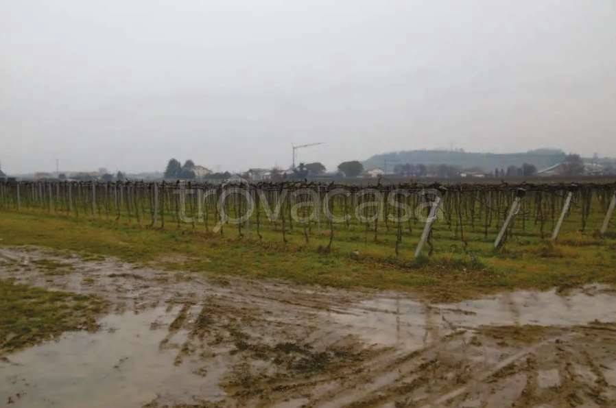 appartamento in vendita a Pescantina