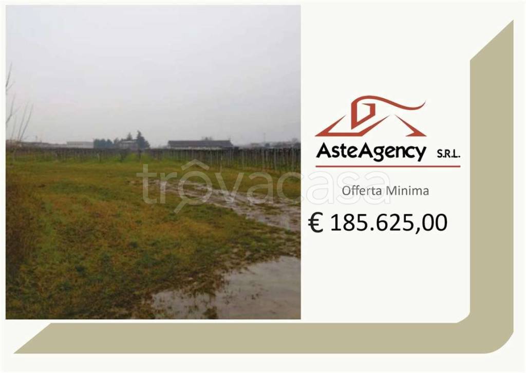 terreno agricolo in vendita a Pescantina