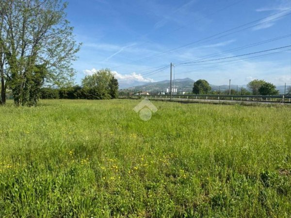 terreno agricolo in vendita a Pescantina in zona Arcè