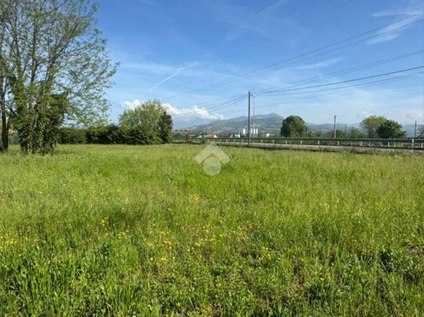 terreno agricolo in vendita a Pescantina in zona Arcè
