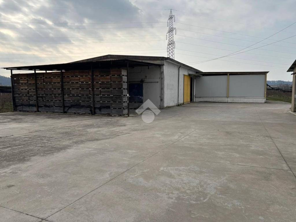 appartamento in vendita a Pescantina
