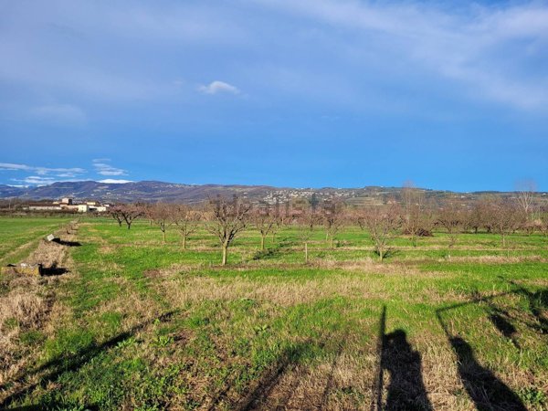 terreno in vendita a Pescantina in zona Settimo