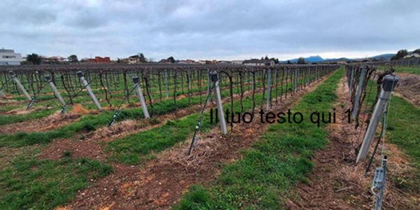 terreno in vendita a Pescantina