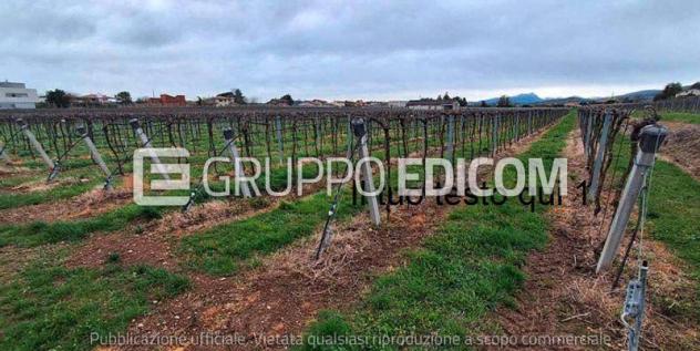 terreno in vendita a Pescantina