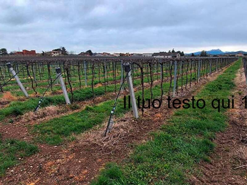 terreno in vendita a Pescantina
