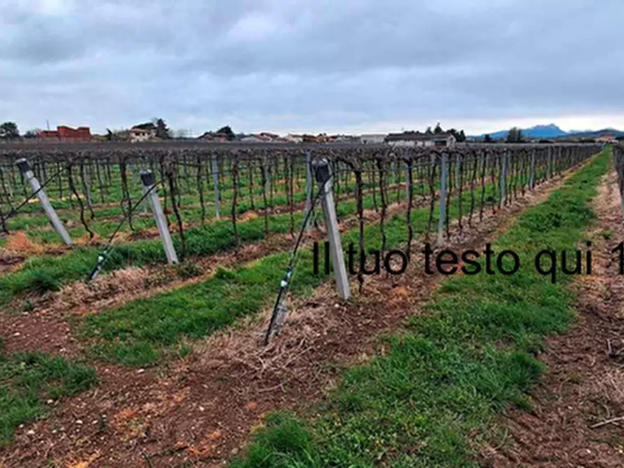 terreno in vendita a Pescantina