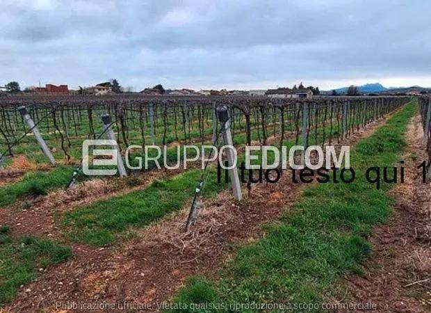 ufficio in vendita a Pescantina