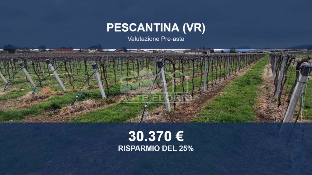 terreno in vendita a Pescantina in zona Settimo