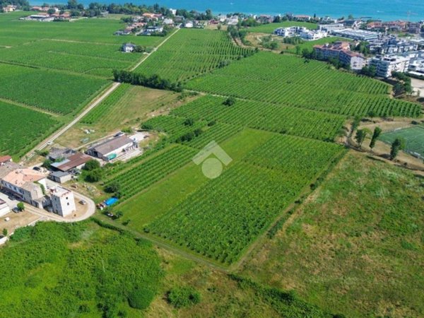 terreno agricolo a Peschiera del Garda in zona San Benedetto di Lugana