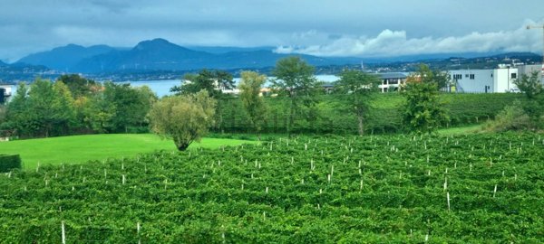 appartamento in vendita a Peschiera del Garda