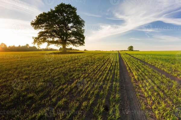 casale in vendita a Peschiera del Garda