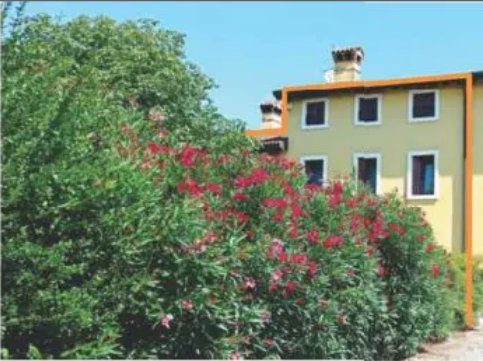 casa indipendente in vendita a Povegliano Veronese in zona Casotti
