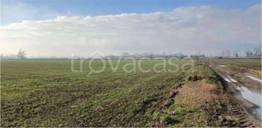 monolocale in vendita a Povegliano Veronese