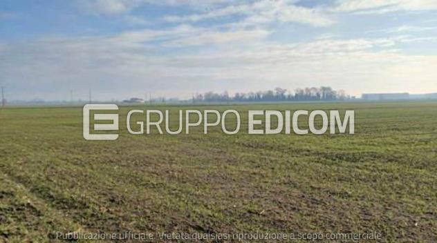 casale in vendita a Povegliano Veronese