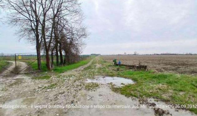 casale in vendita a Povegliano Veronese