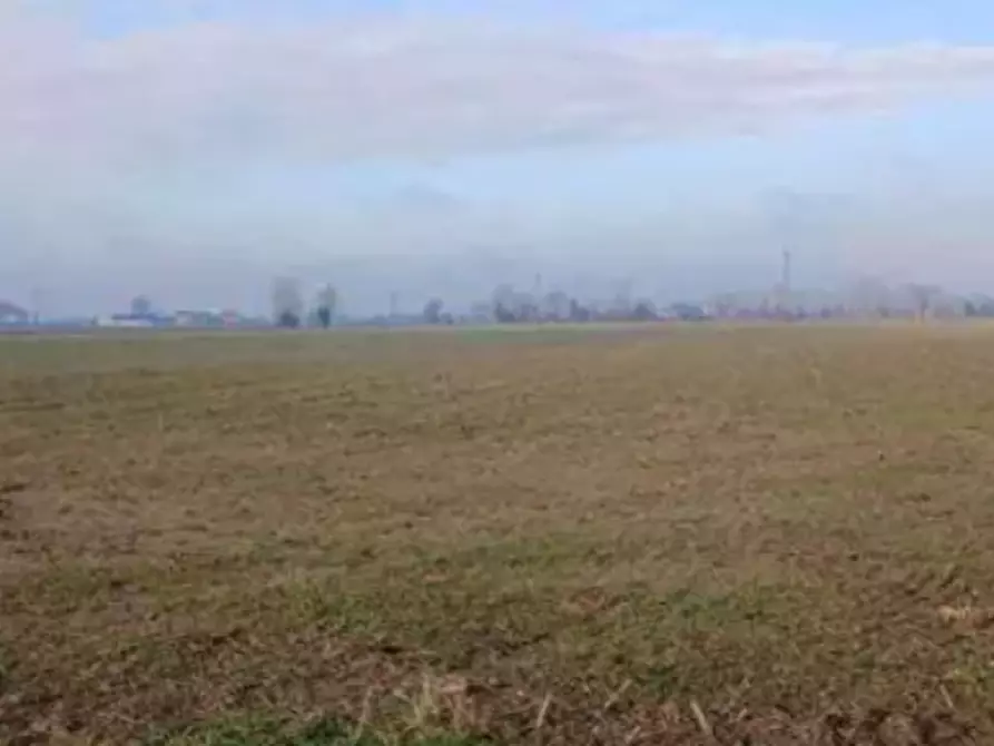 terreno edificabile in vendita a Povegliano Veronese