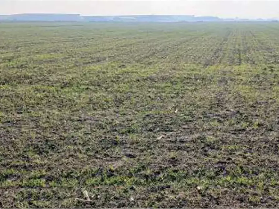 terreno agricolo in vendita a Povegliano Veronese