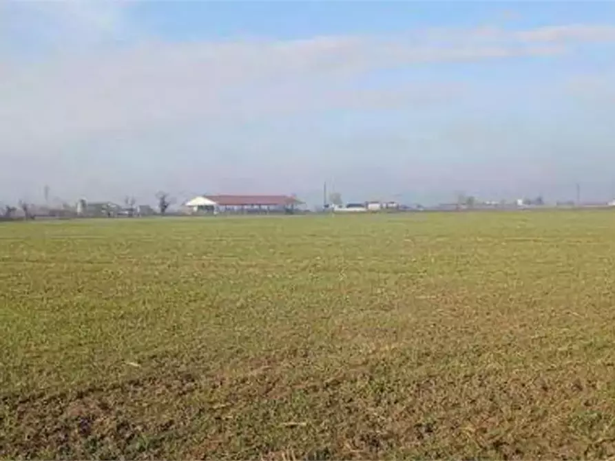 terreno agricolo in vendita a Povegliano Veronese