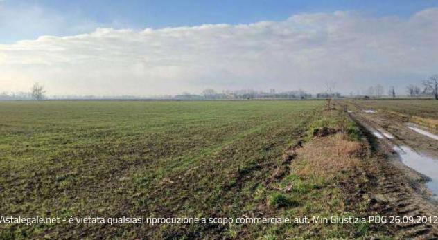 casale in vendita a Povegliano Veronese