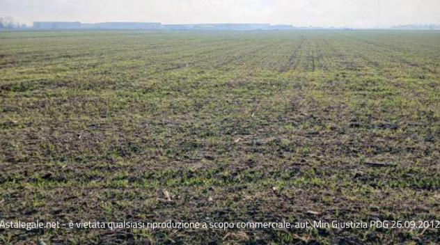 casale in vendita a Povegliano Veronese