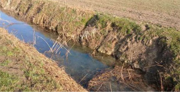 terreno agricolo in vendita a Povegliano Veronese