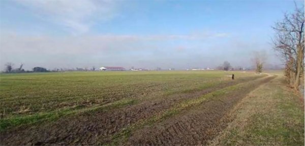 terreno agricolo in vendita a Povegliano Veronese