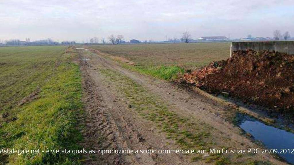 ufficio in vendita a Povegliano Veronese