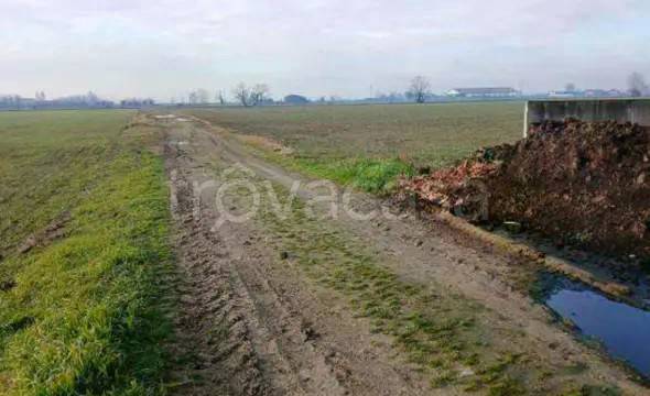 appartamento in vendita a Povegliano Veronese