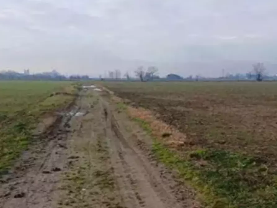 terreno edificabile in vendita a Povegliano Veronese