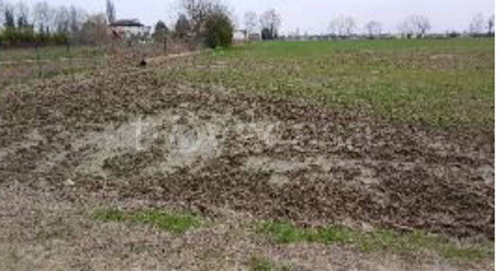 casa indipendente in vendita a Povegliano Veronese