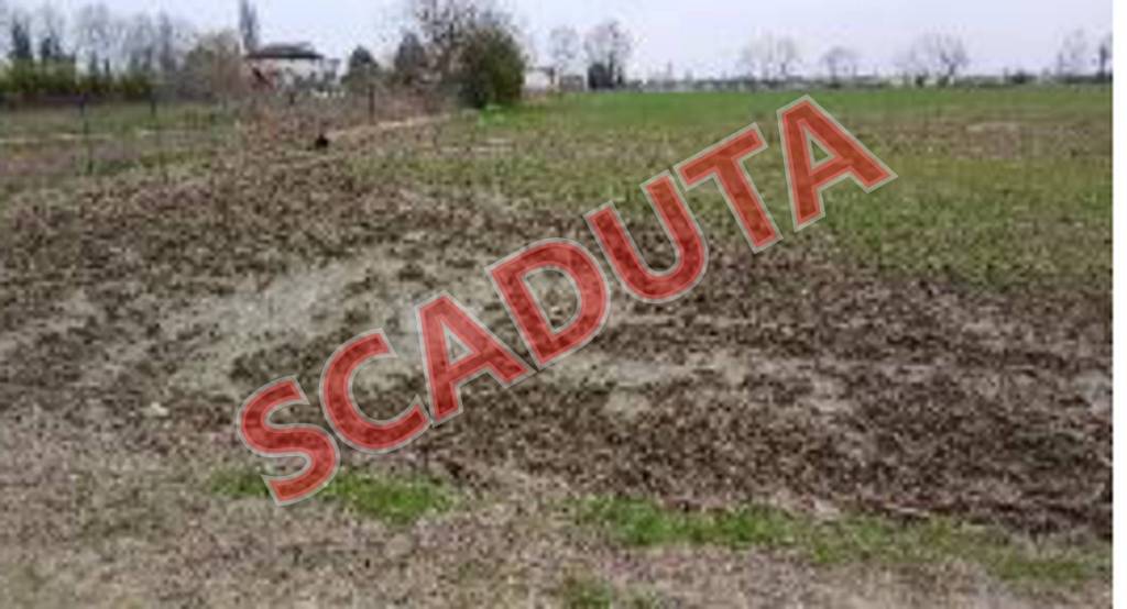 casa indipendente in vendita a Povegliano Veronese