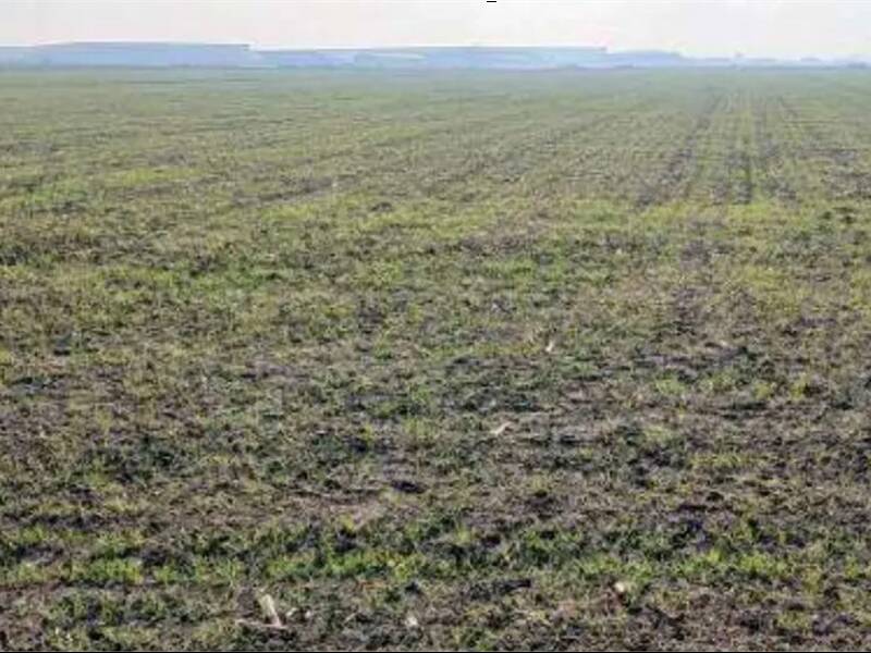 terreno agricolo in vendita a Povegliano Veronese
