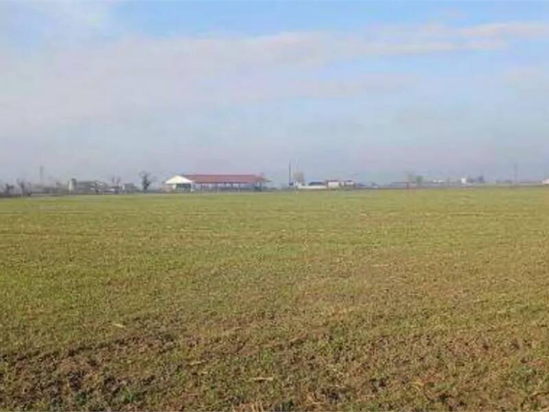 terreno agricolo in vendita a Povegliano Veronese