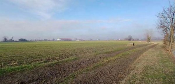 terreno agricolo in vendita a Povegliano Veronese