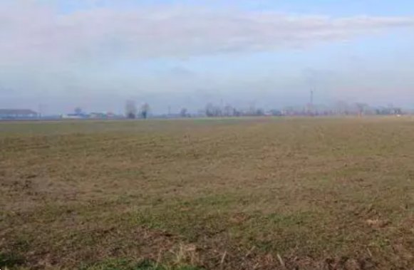 terreno edificabile in vendita a Povegliano Veronese