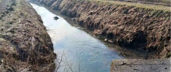 terreno agricolo in vendita a Povegliano Veronese