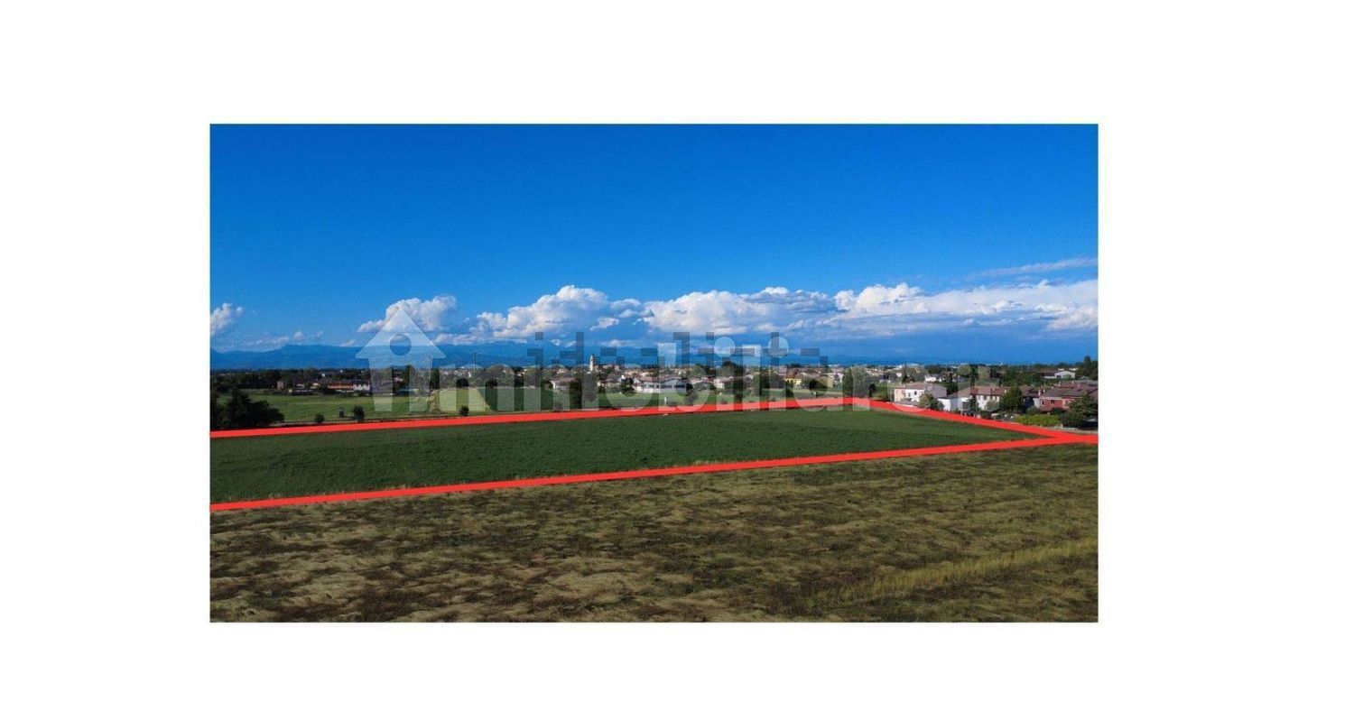 terreno agricolo in vendita a Povegliano Veronese in zona Madonna dell'Uva Secca