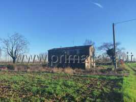 terreno agricolo in vendita a Pressana in zona Caselle