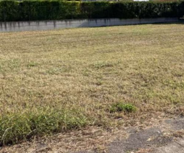 terreno edificabile in vendita a Pressana in zona Crosare